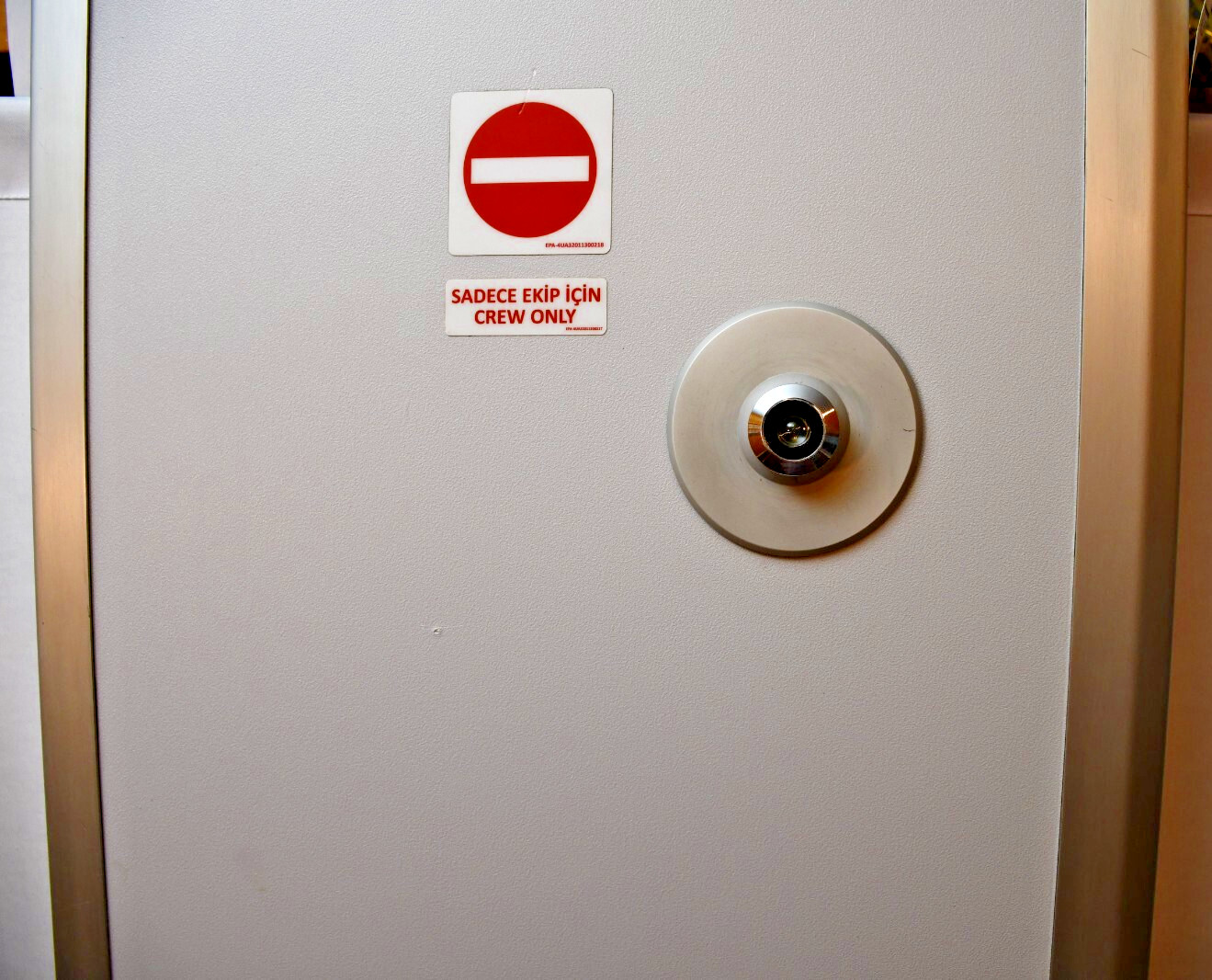 Airbus A321 -200 Ballistic Cockpit Door – Fully Intact